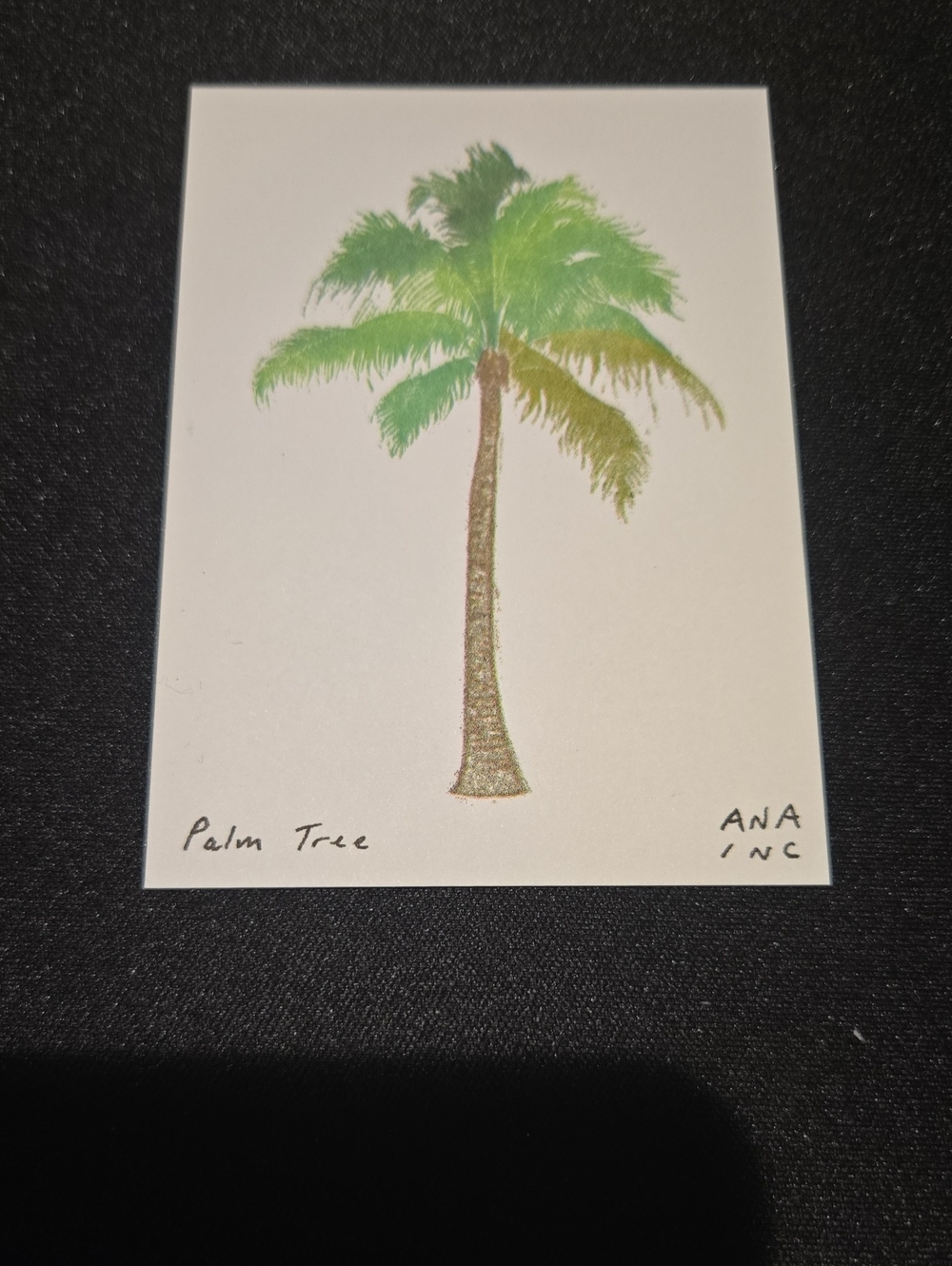 Ana Inciardi Mini Print Palm Tree